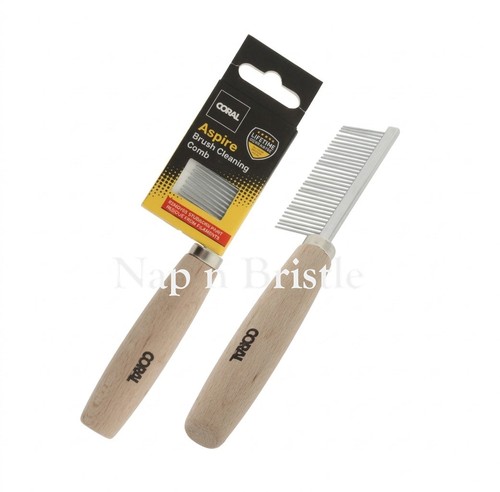 Coral aspire paint - coral,